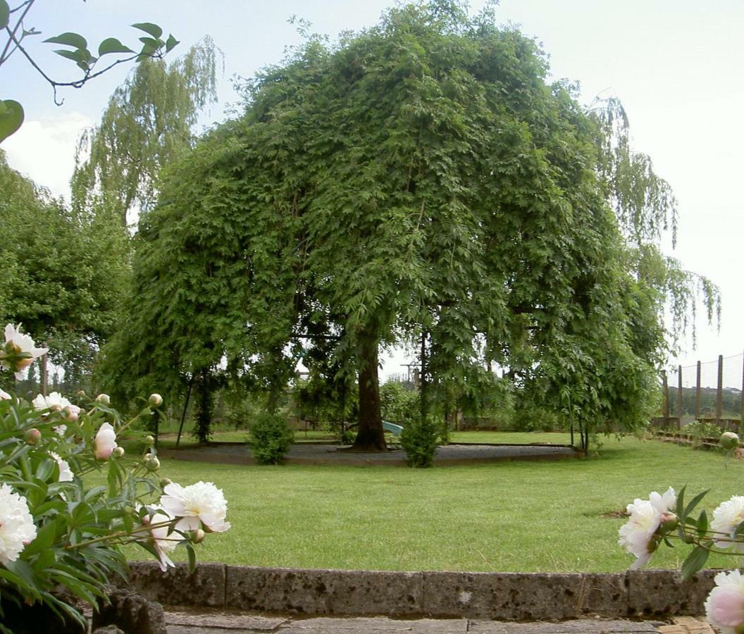 Апартаменти Les Jardins De L'Ile Longeville-les-Metz Екстер'єр фото