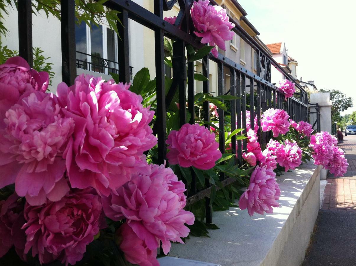 Апартаменти Les Jardins De L'Ile Longeville-les-Metz Екстер'єр фото